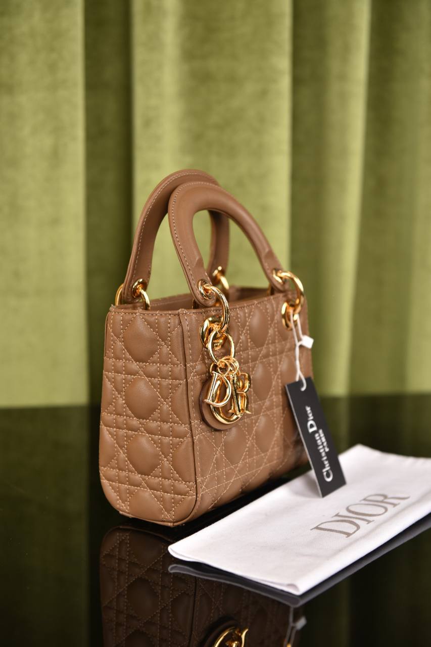 Lady Dl0r Bag Medium