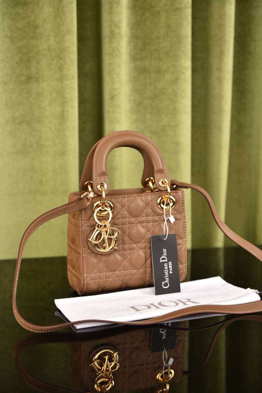 Lady Dl0r Bag Medium