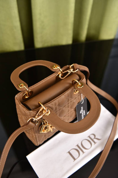 Lady Dl0r Bag Medium