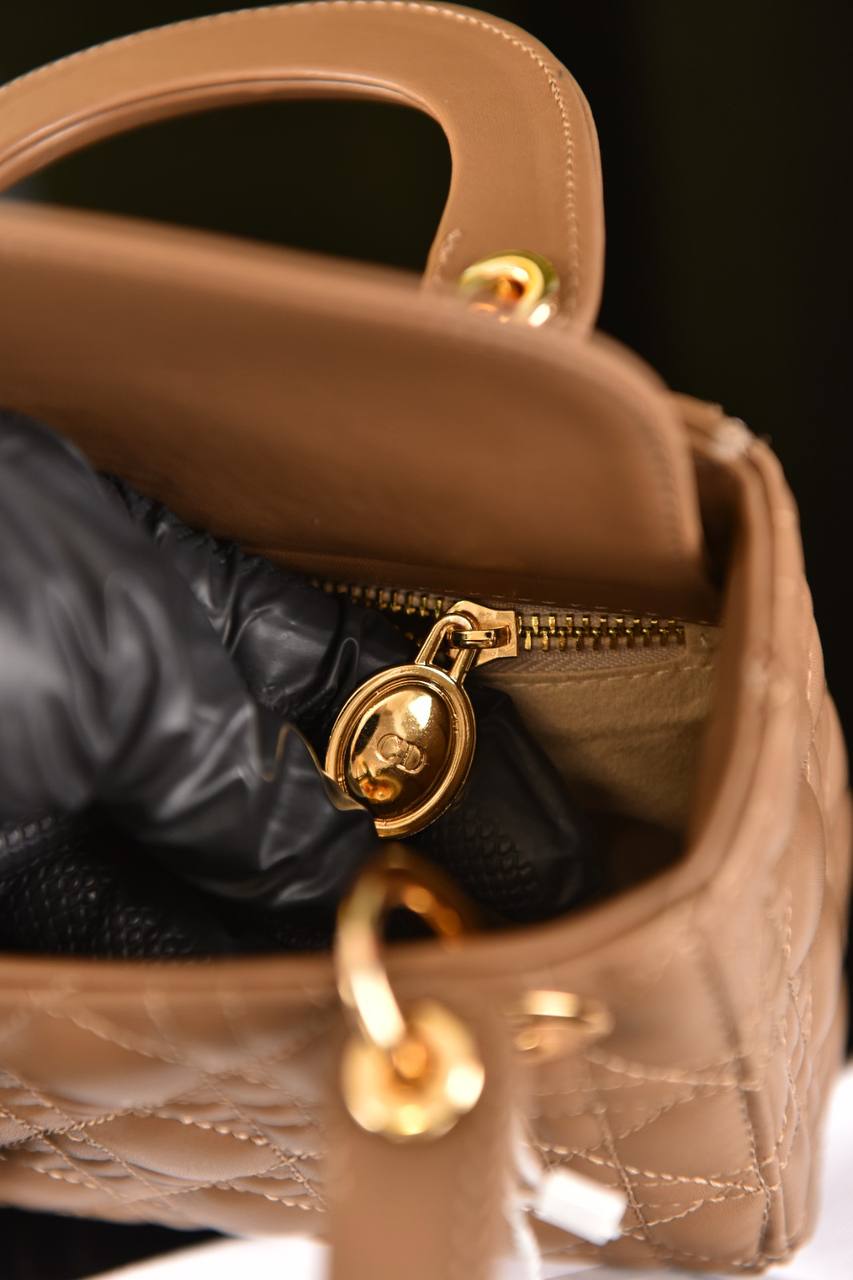 Lady Dl0r Bag Medium