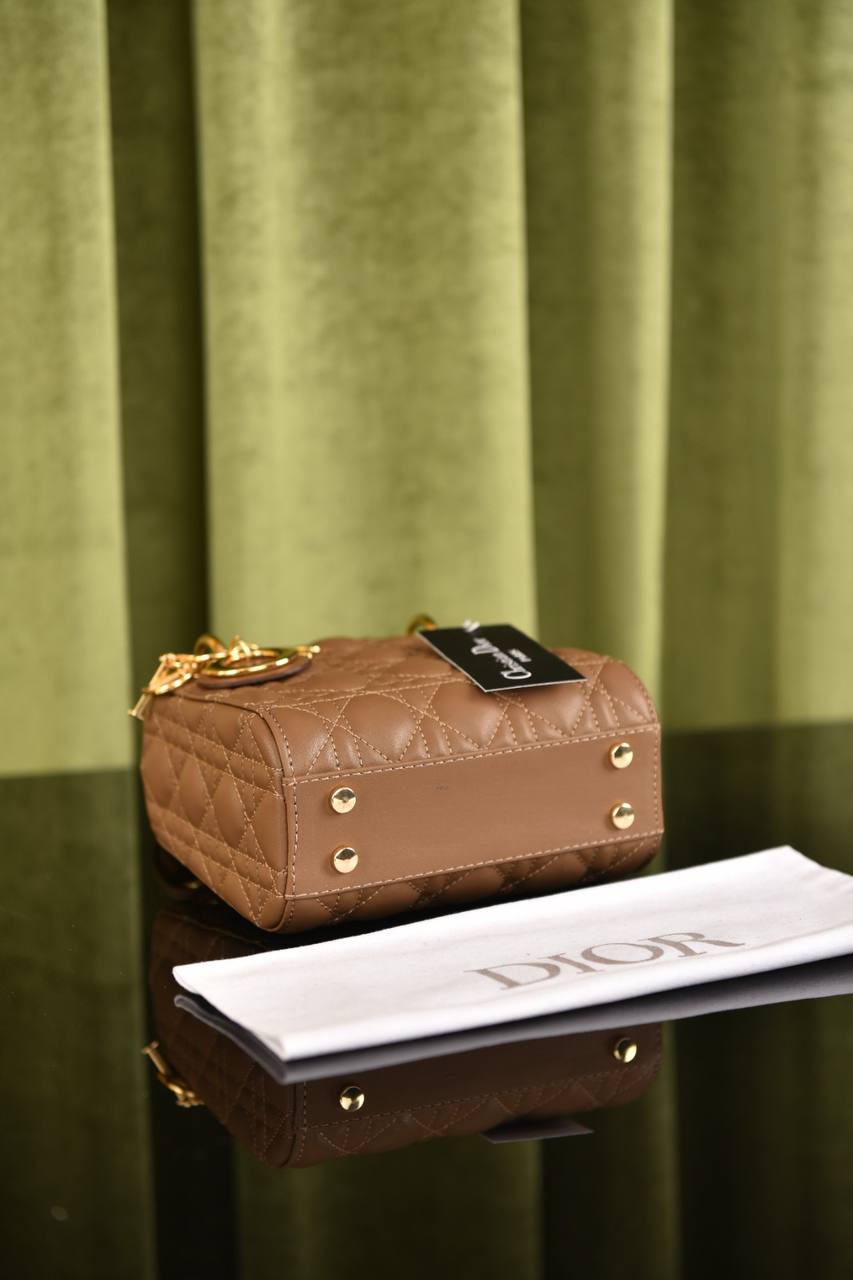 Lady Dl0r Bag Medium