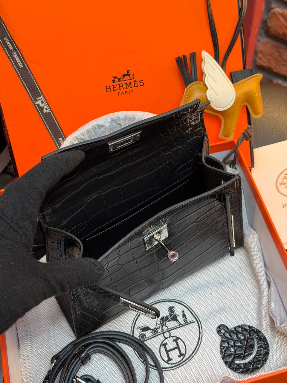 - Kelly 19 - (Video)