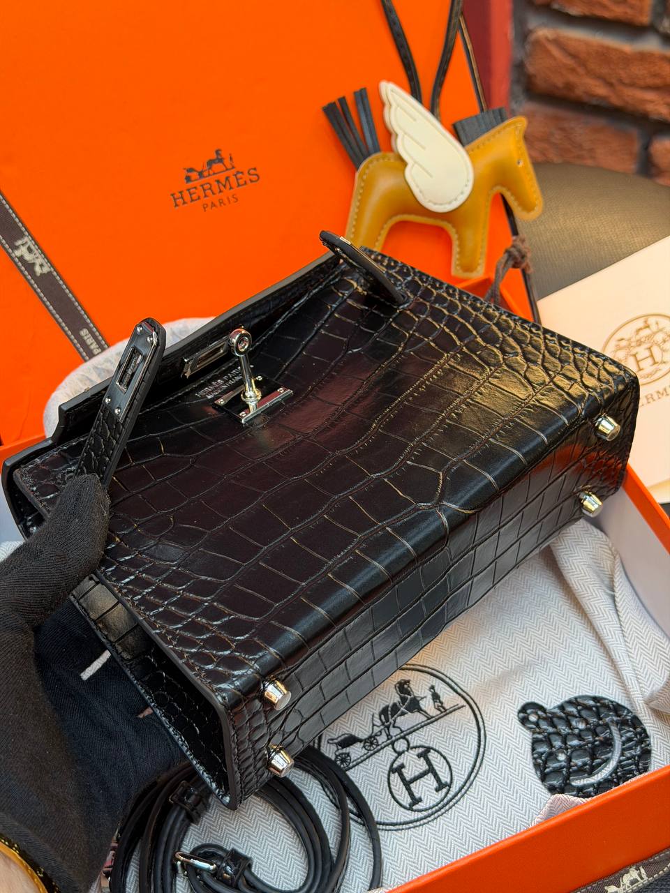 - Kelly 19 - (Video)